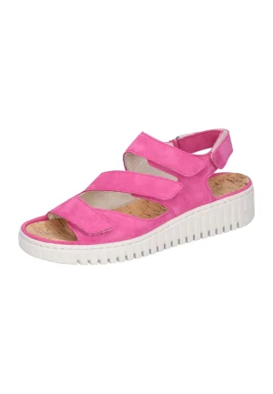 Shop Waldläufer H-Willow Orchid